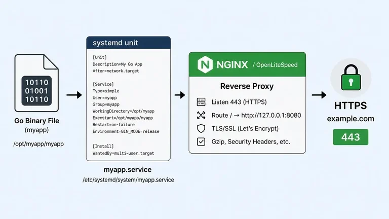 alur deploy aplikasi go dari binary ke systemd lalu reverse proxy https