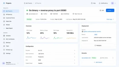 Panel Hosting untuk Aplikasi Go