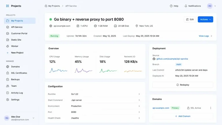 Panel Hosting untuk Aplikasi Go